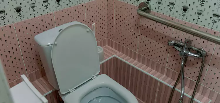 Meeting Diverse Needs With Accessible Restroom Solutions in Casas Adobes, AZ