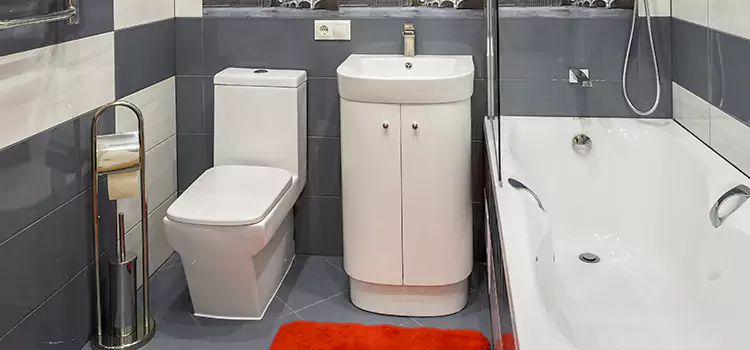 Hansgrohe Shaving Mirror Casas Adobes
